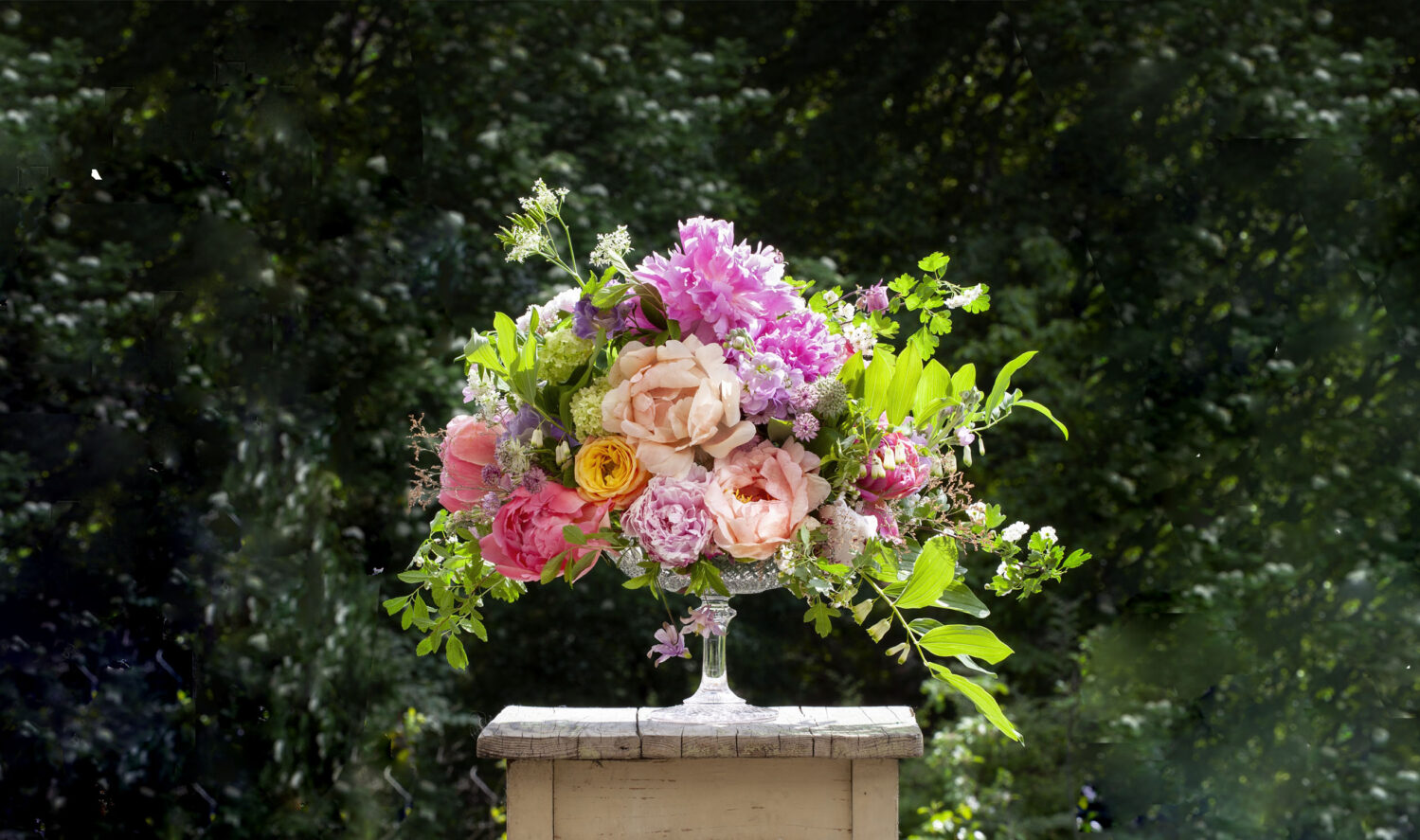 Velkommen til Pernille Thieles blomster-eventyr